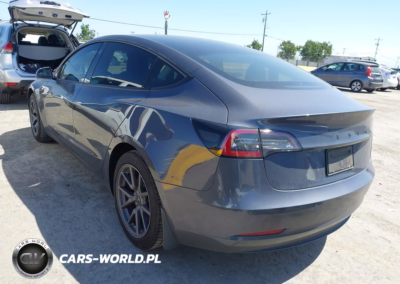 2019 Tesla Model 3 Long Range-Mid Range-Standard Range-Standard Range Plus VIN:5YJ3E1EA9KF398576 - 3