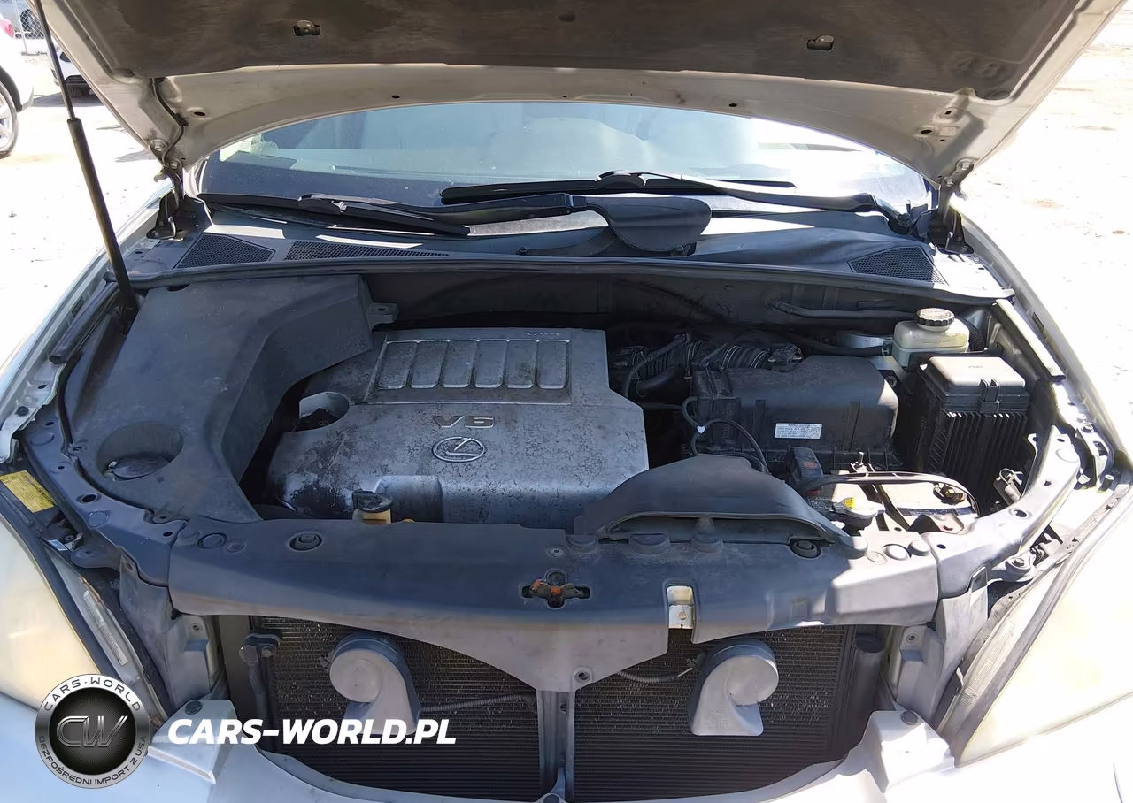 2007 Lexus Rx 350 VIN:2T2HK31U17C019376 - 10