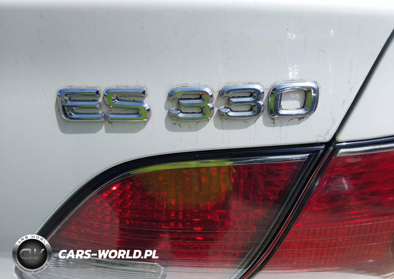 2004 Lexus Es 330 VIN:JTHBA30G445006217 - 17