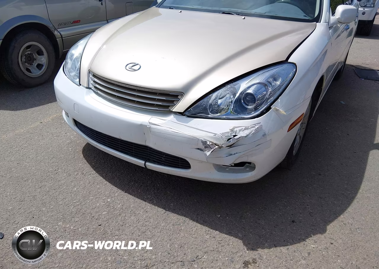 2004 Lexus Es 330 VIN:JTHBA30G445006217 - 6