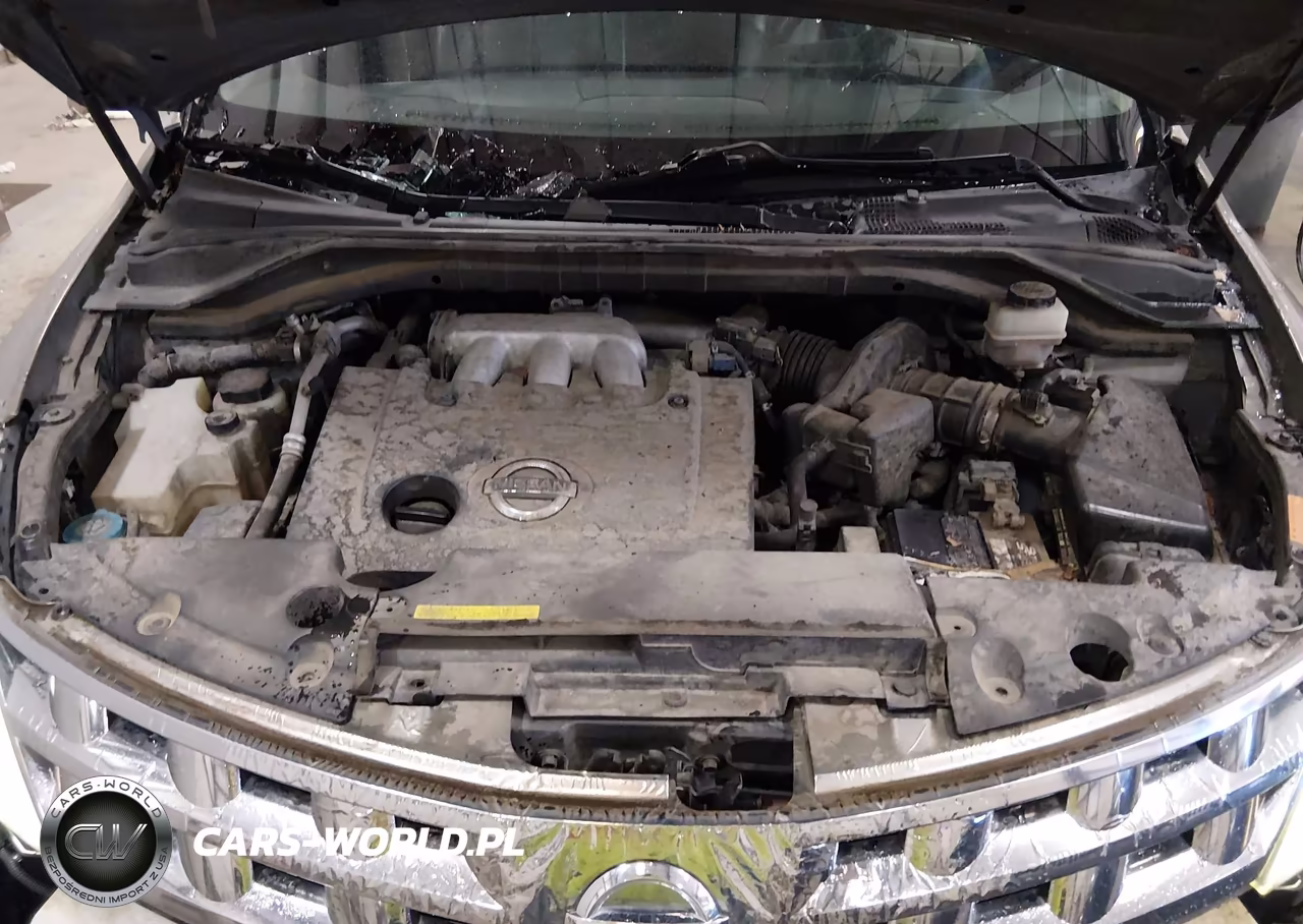 2004 Nissan Murano Se VIN:JN8AZ08W34W339071 - 10