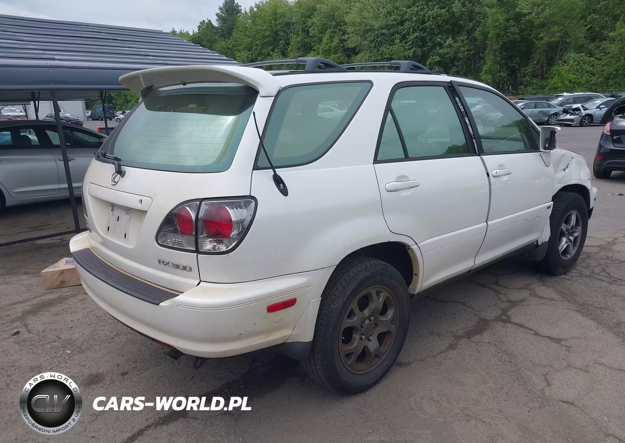 2002 Lexus Rx 300 VIN:JTJHF10U320285268 - 4