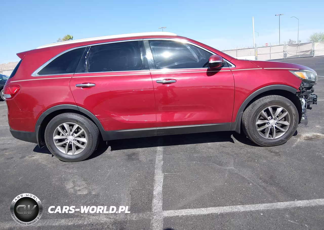 2016 Kia Sorento 3.3L Lx VIN:5XYPG4A57GG175748 - 13