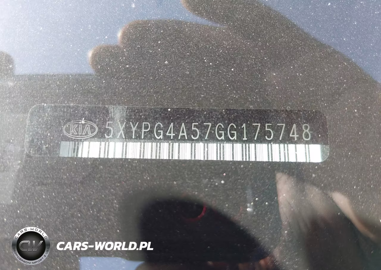 2016 Kia Sorento 3.3L Lx VIN:5XYPG4A57GG175748 - 9