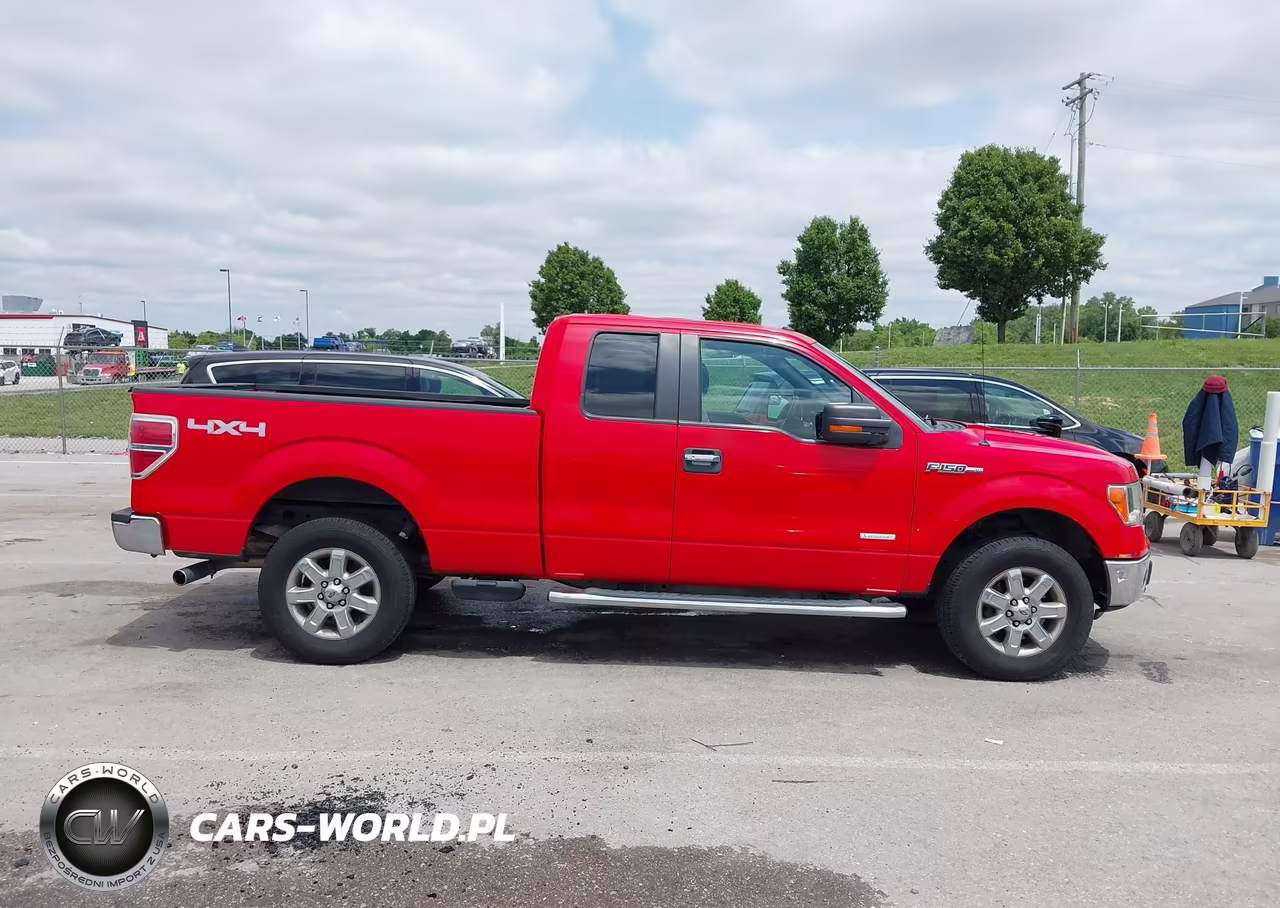 2013 Ford F-150 Xlt VIN:1FTFX1ETXDFC87882 - 13
