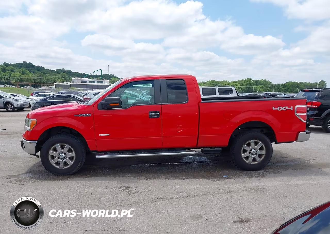 2013 Ford F-150 Xlt VIN:1FTFX1ETXDFC87882 - 14