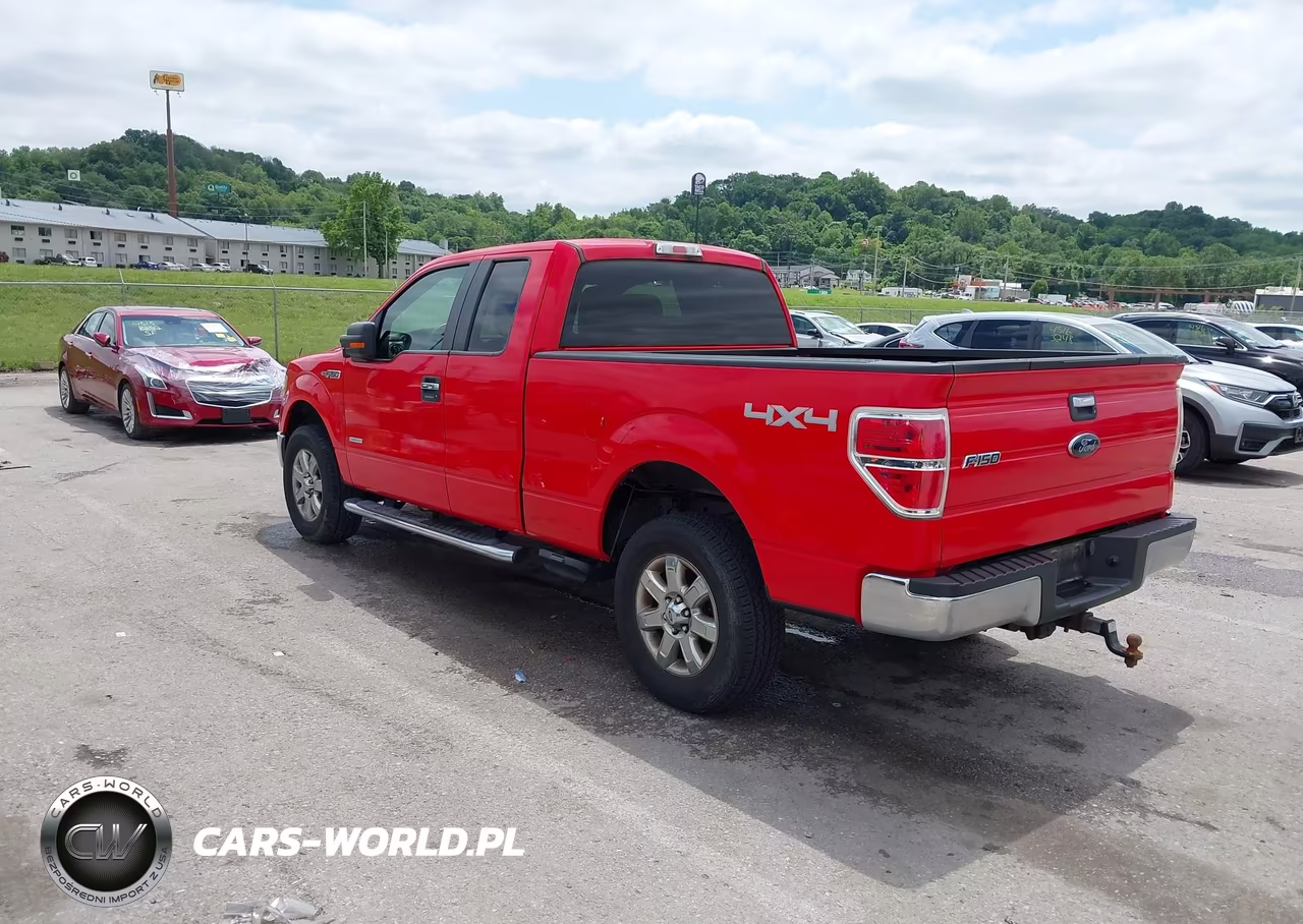 2013 Ford F-150 Xlt VIN:1FTFX1ETXDFC87882 - 3