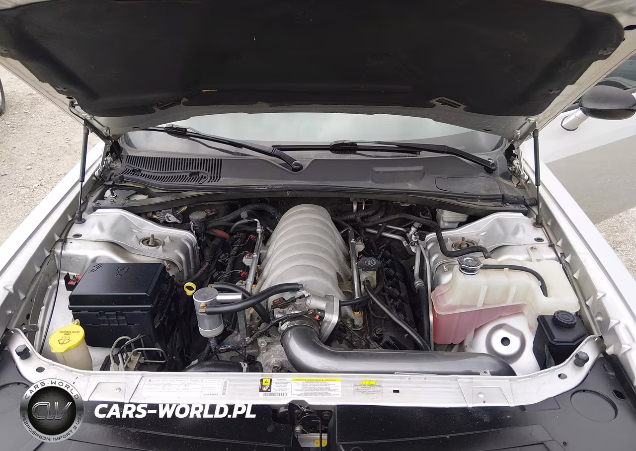 2009 Dodge Challenger Srt8 VIN:2B3LJ74W89H545519 - 10