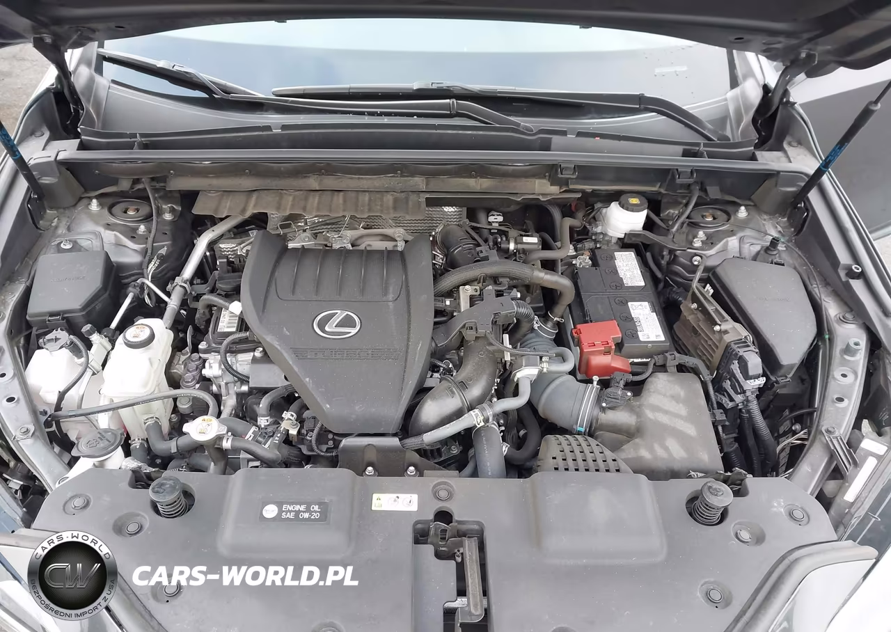 2024 Lexus Nx 350 VIN:2T2AGCEZ3RC037700 - 10