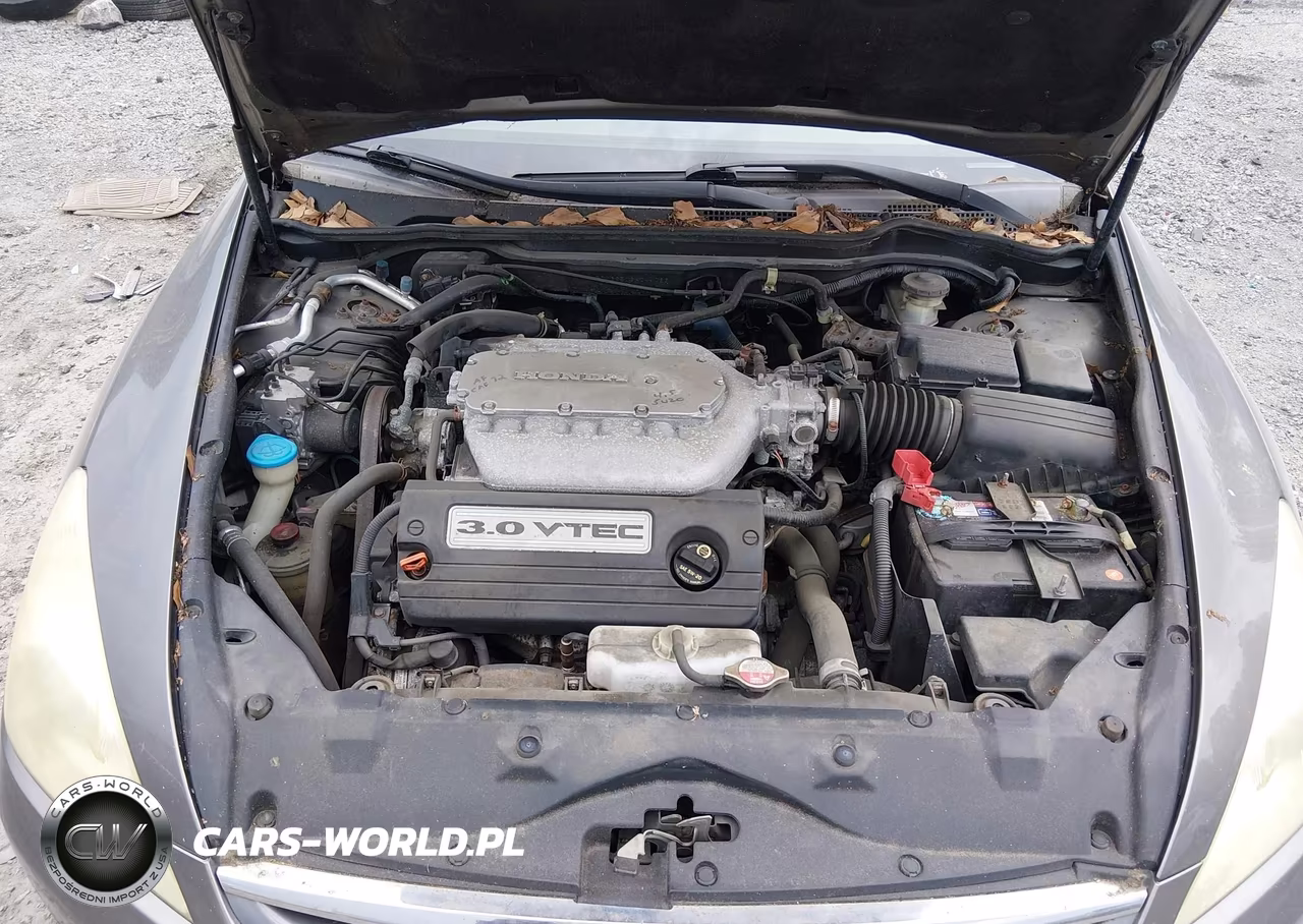 2006 Honda Accord 3.0 Ex VIN:1HGCM66516A044066 - 10