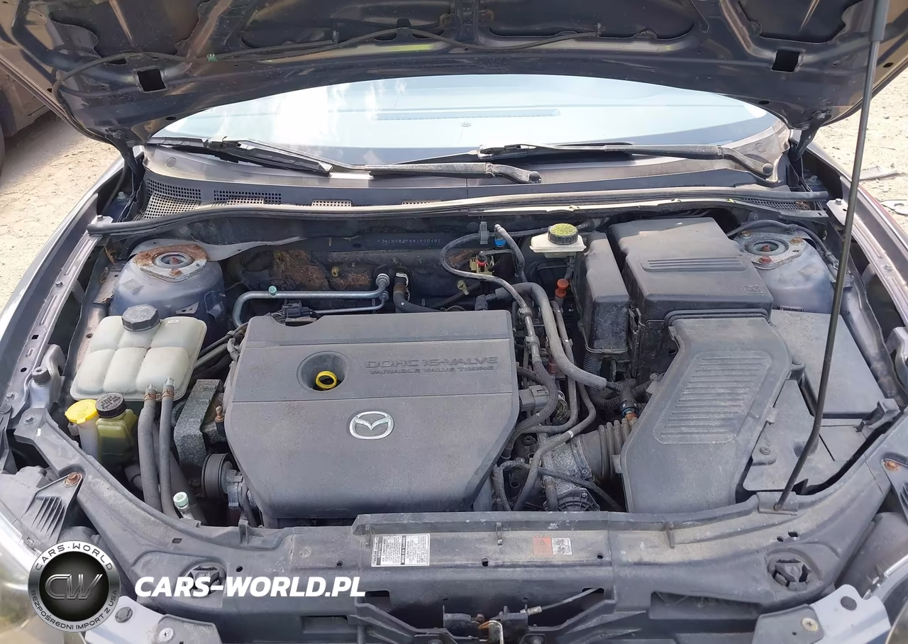 2009 Mazda Mazda3 I VIN:JM1BK32F691200491 - 10