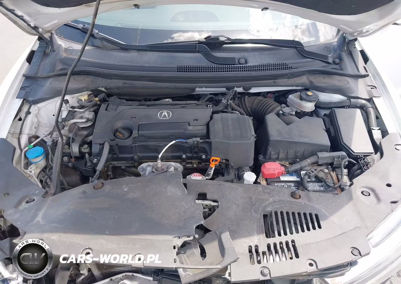 2019 Acura Ilx Premium Package-W-Technology Pkg VIN:19UDE2F78KA000684 - 10