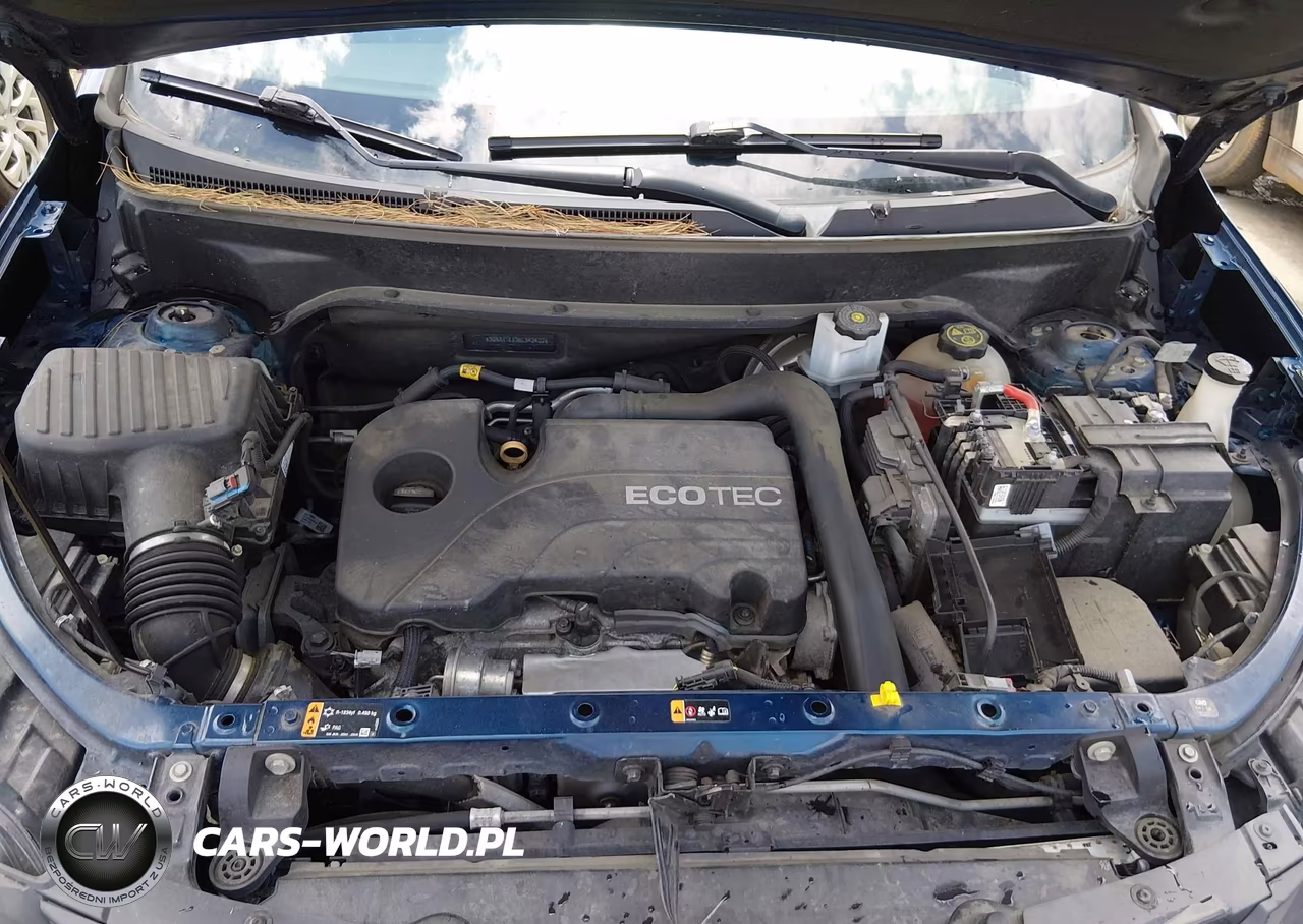 2019 Chevrolet Equinox Lt VIN:3GNAXTEV3KL342402 - 10