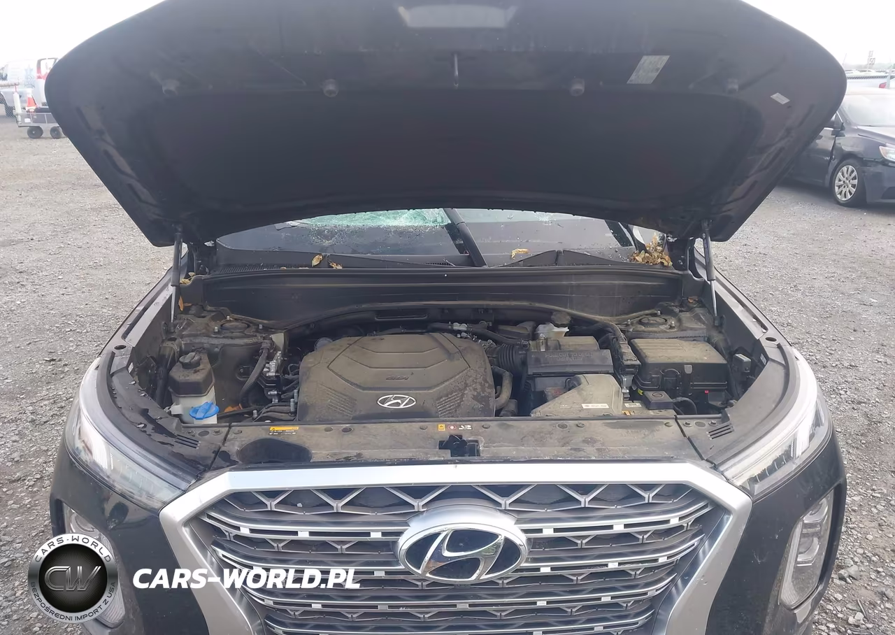 2020 Hyundai Palisade Limited VIN:KM8R54HE7LU169537 - 10