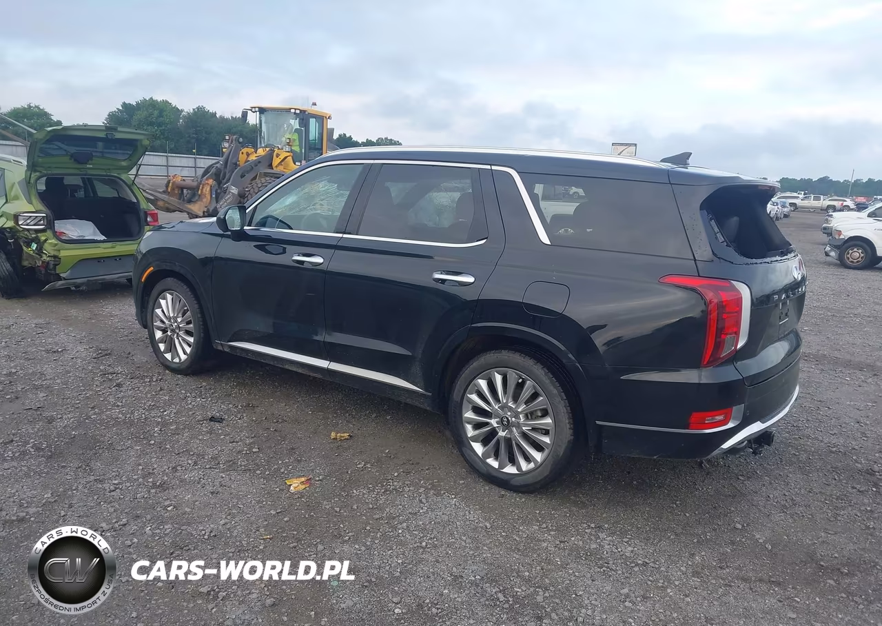 2020 Hyundai Palisade Limited VIN:KM8R54HE7LU169537 - 3