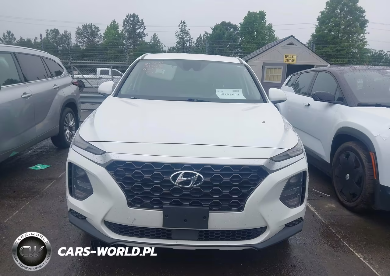2019 Hyundai Santa Fe Se VIN:5NMS2CAD1KH019309 - 12