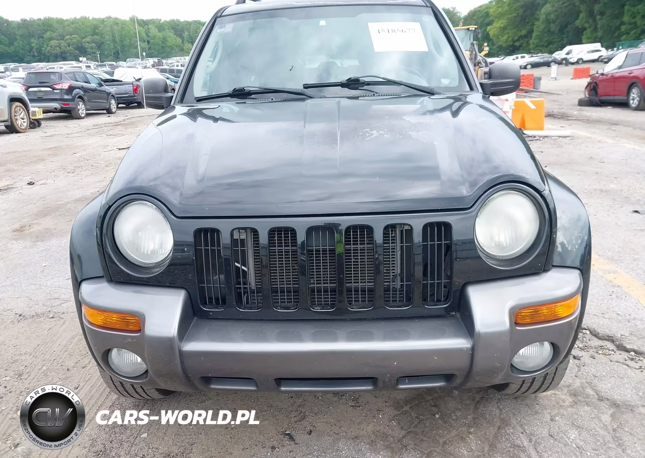 2004 Jeep Liberty Sport VIN:1J4GK48K94W301692 - 12