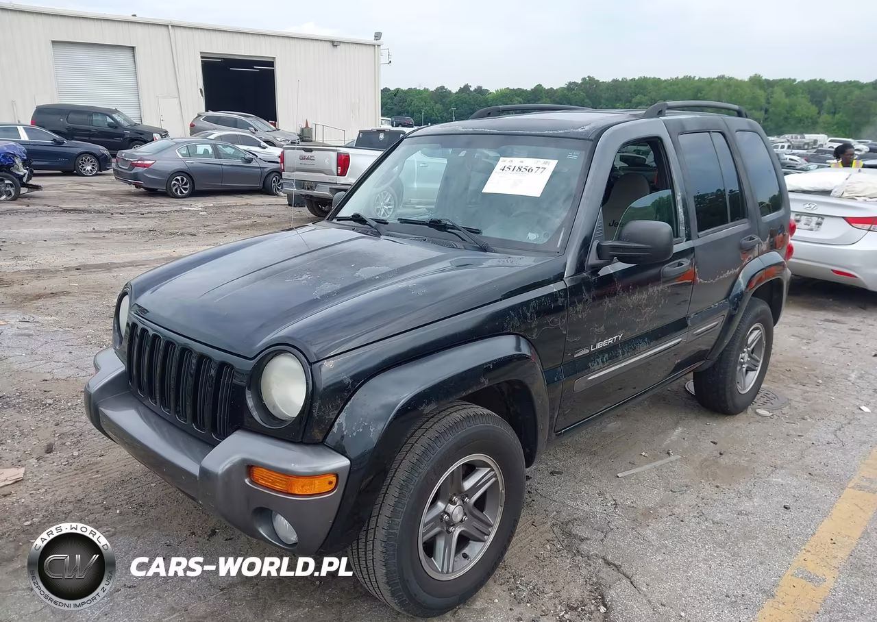 2004 Jeep Liberty Sport VIN:1J4GK48K94W301692 - 2