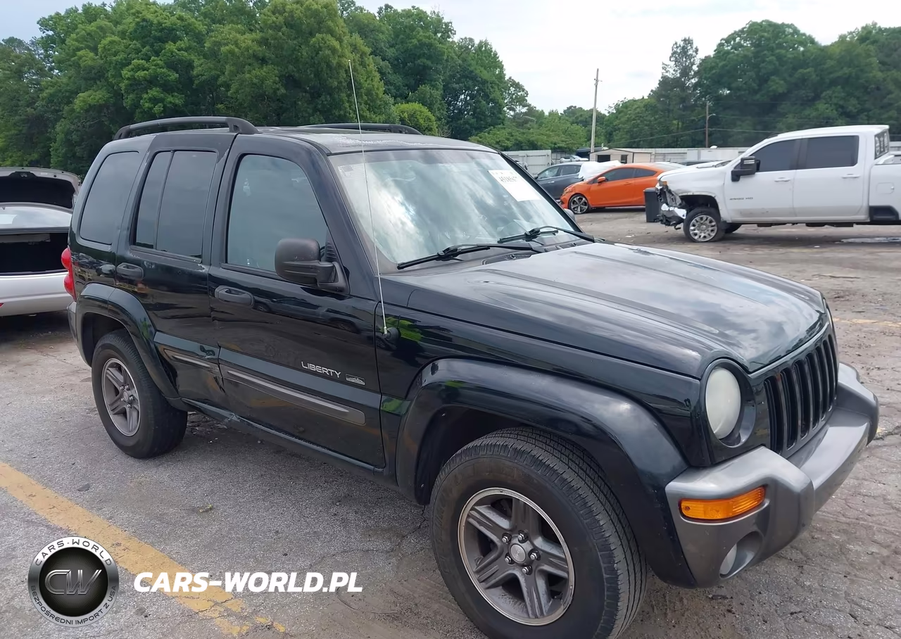 2004 Jeep Liberty Sport VIN:1J4GK48K94W301692 - 6