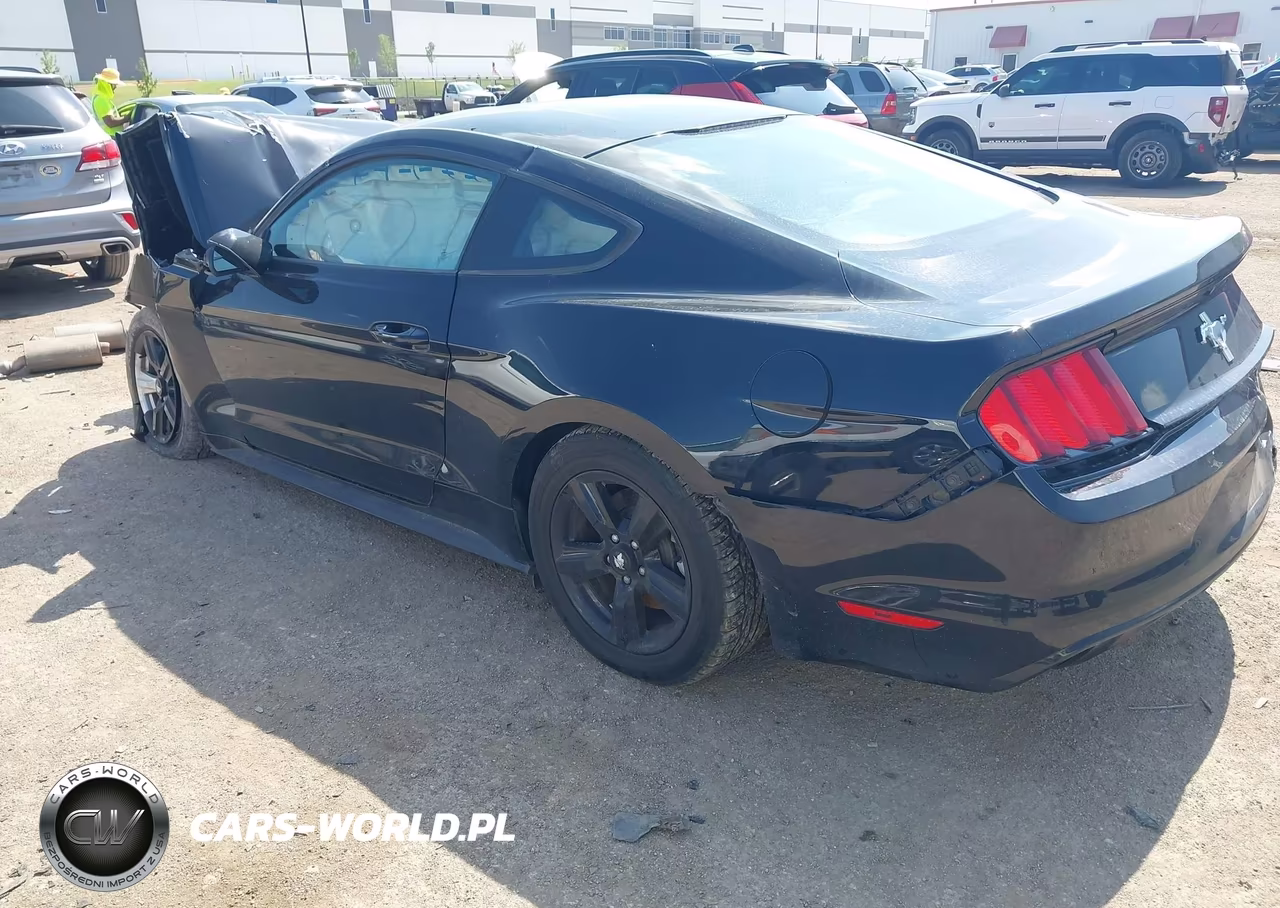 2015 Ford Mustang V6 VIN:1FA6P8AM1F5324579 - 3