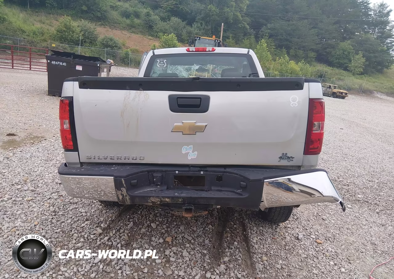 2011 Chevrolet Silverado 1500 Work Truck VIN:1GCRCPEX6BZ378495 - 17