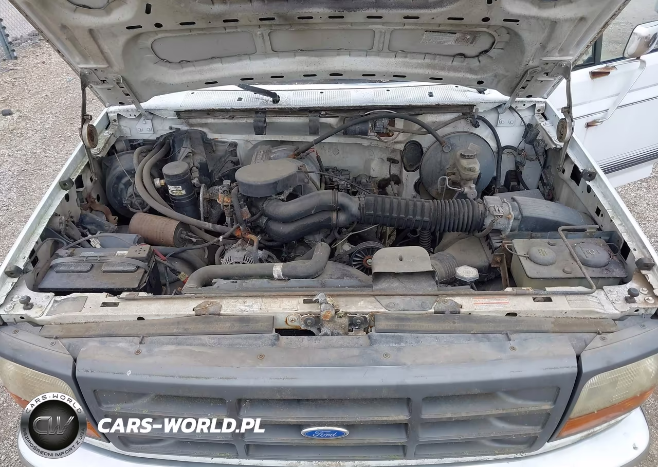 1994 Ford F150 VIN:1FTEF15N1RNA72842 - 10
