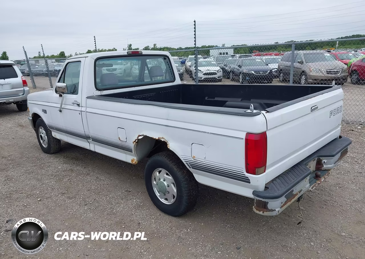 1994 Ford F150 VIN:1FTEF15N1RNA72842 - 3