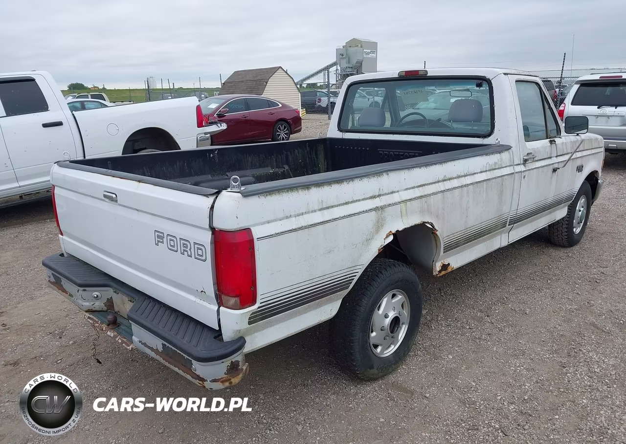 1994 Ford F150 VIN:1FTEF15N1RNA72842 - 4