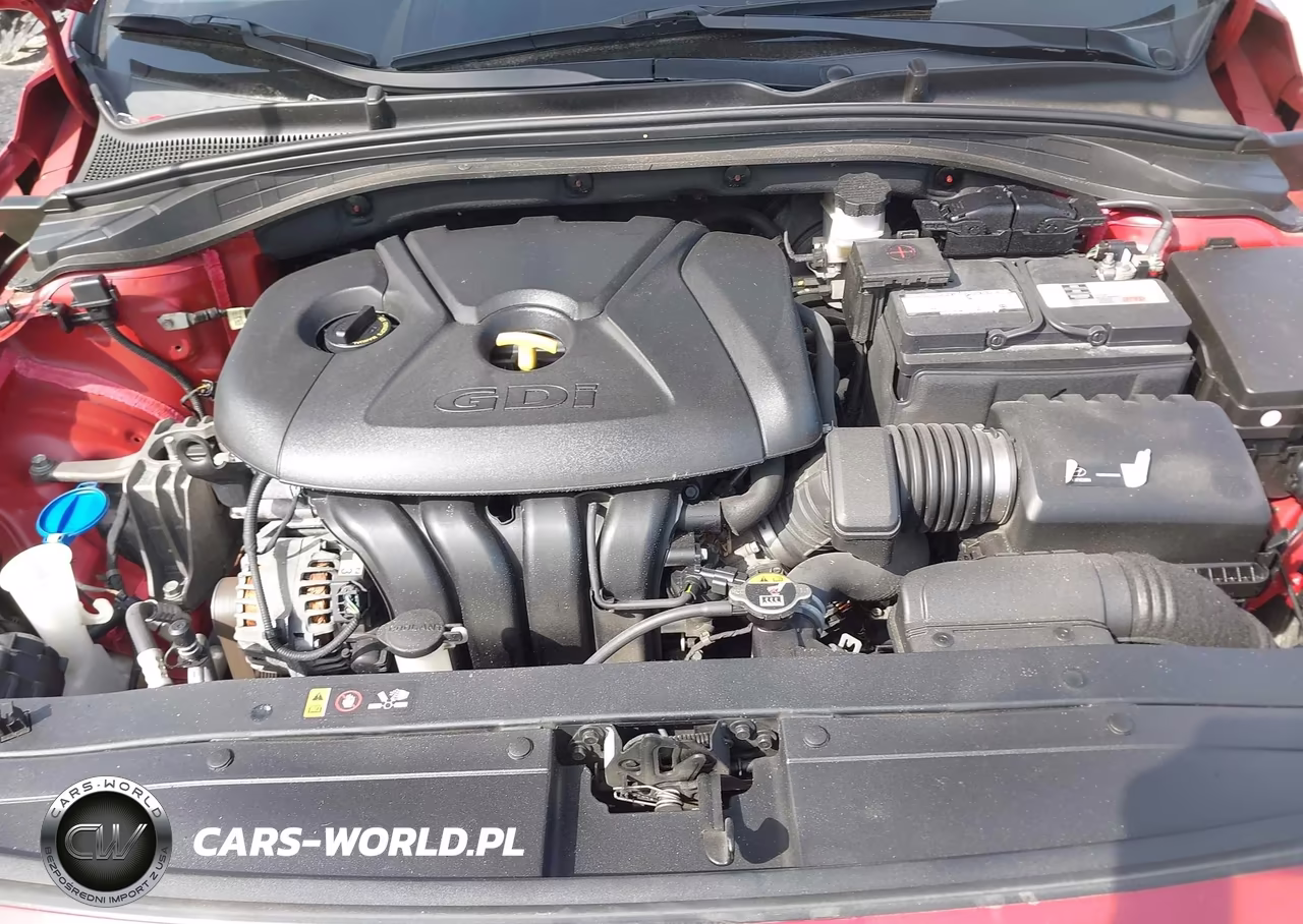 2019 Hyundai Elantra Gt VIN:KMHH35LE3KU116492 - 10