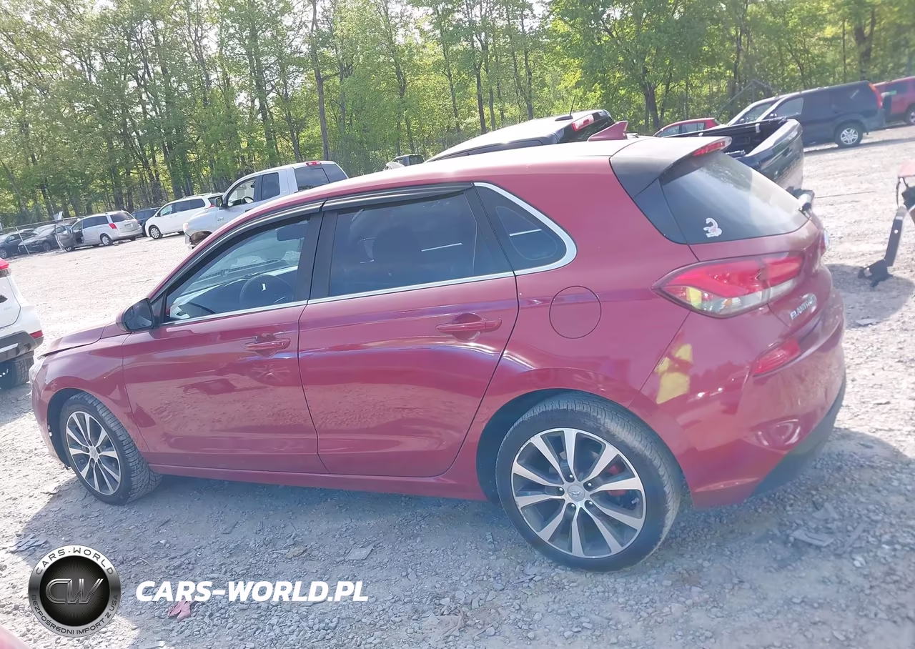 2019 Hyundai Elantra Gt VIN:KMHH35LE3KU116492 - 14