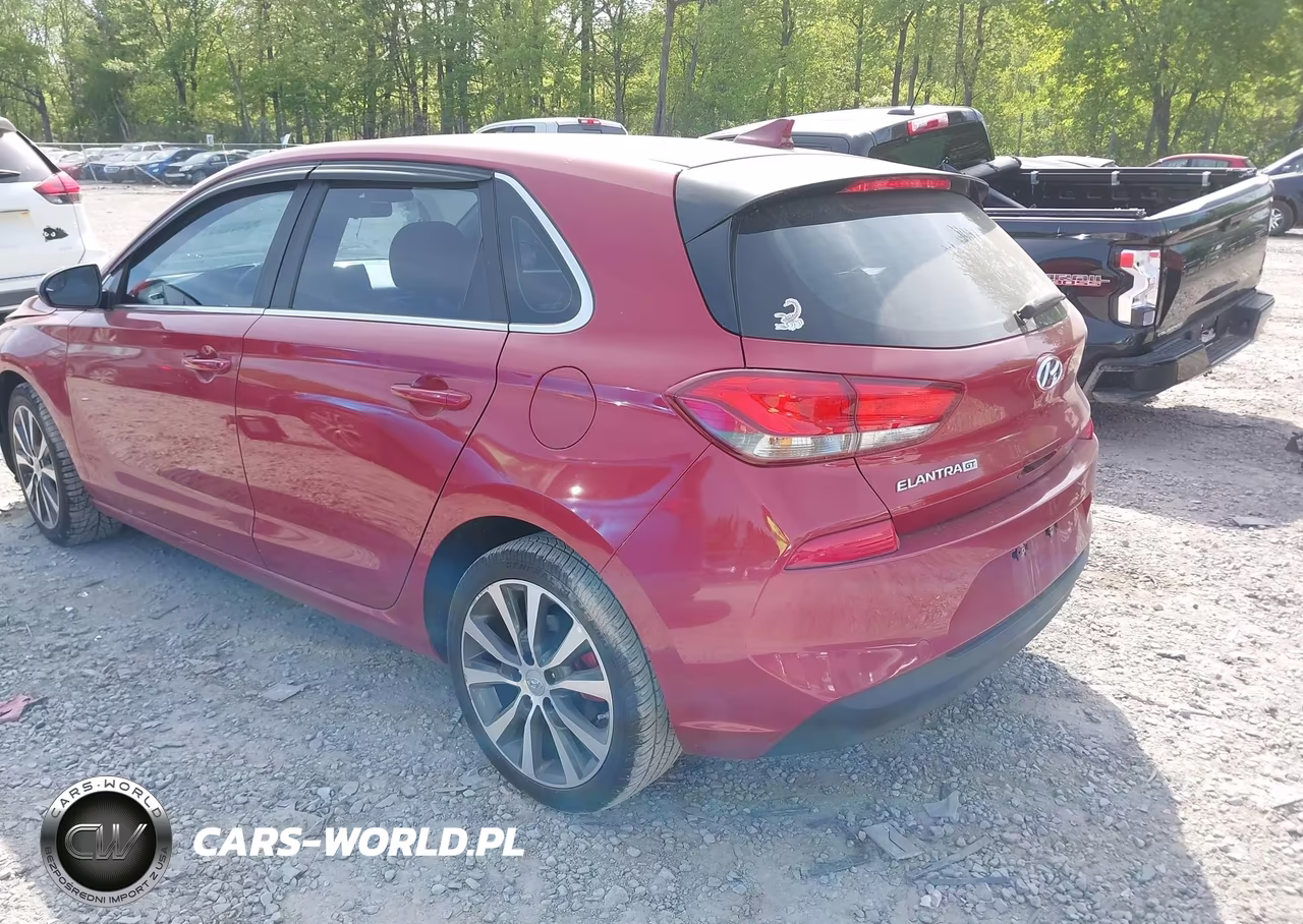 2019 Hyundai Elantra Gt VIN:KMHH35LE3KU116492 - 3