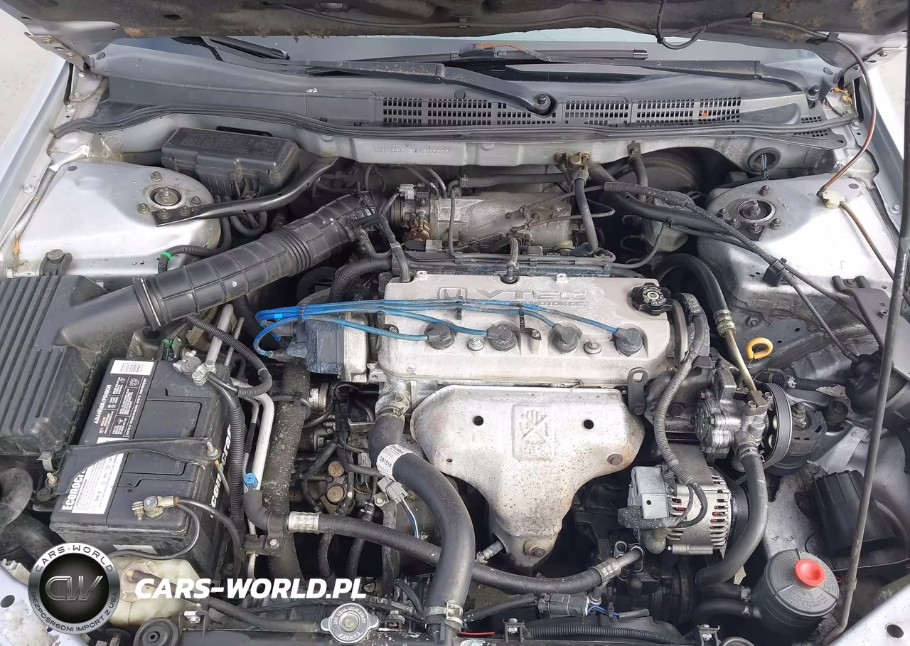 1998 Honda Accord Lx VIN:1HGCG5648WA210317 - 10