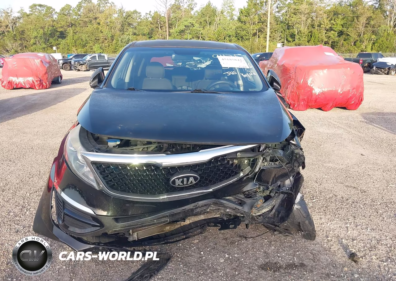 2016 Kia Sportage Lx VIN:KNDPB3AC6G7859310 - 12