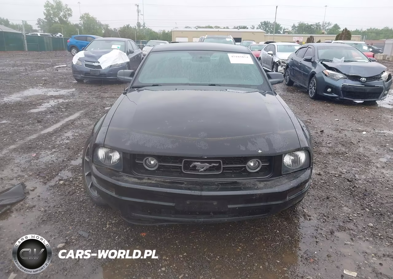 2007 Ford Mustang V6 Deluxe-V6 Premium VIN:1ZVHT80N975362830 - 13