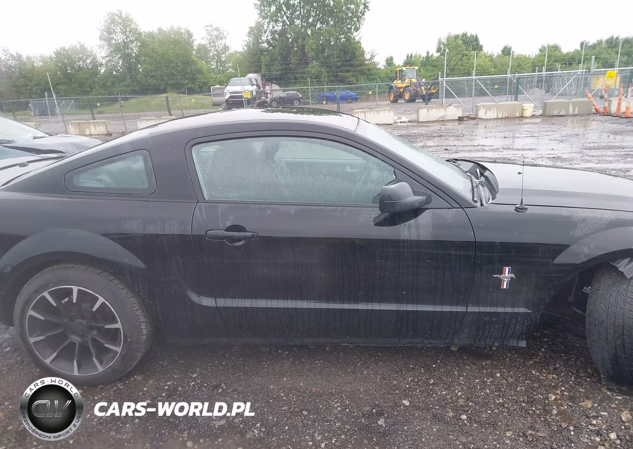 2007 Ford Mustang V6 Deluxe-V6 Premium VIN:1ZVHT80N975362830 - 14