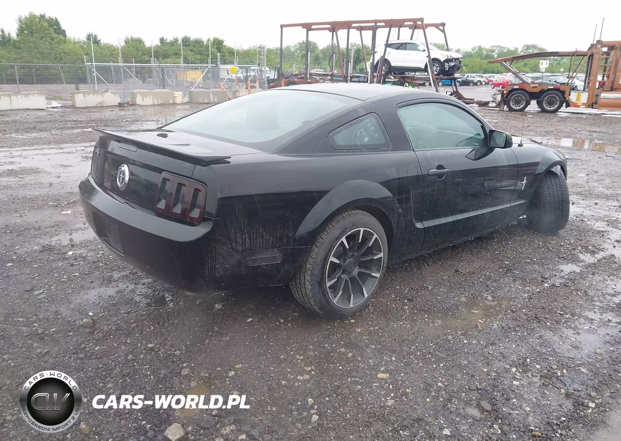 2007 Ford Mustang V6 Deluxe-V6 Premium VIN:1ZVHT80N975362830 - 4