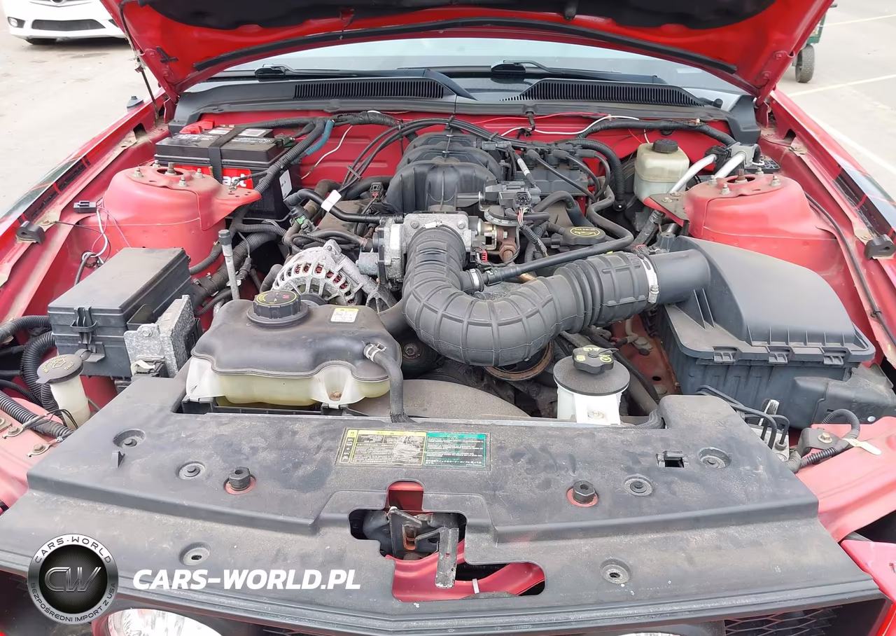 2006 Ford Mustang V6 VIN:1ZVFT84N365242022 - 10