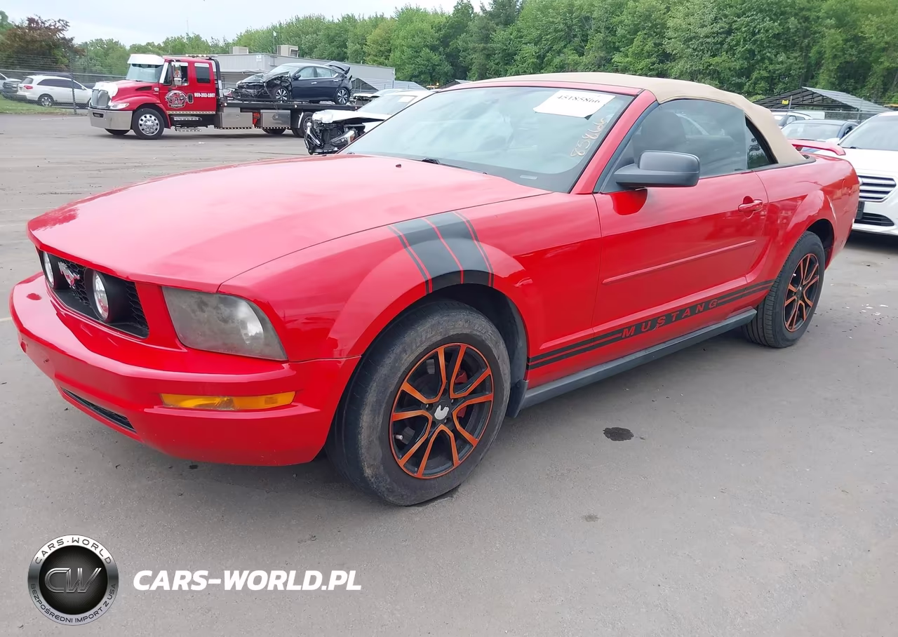 2006 Ford Mustang V6 VIN:1ZVFT84N365242022 - 2