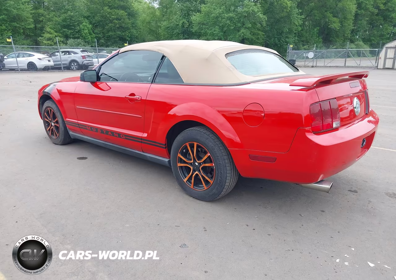 2006 Ford Mustang V6 VIN:1ZVFT84N365242022 - 3