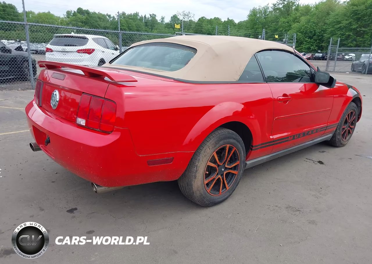 2006 Ford Mustang V6 VIN:1ZVFT84N365242022 - 4