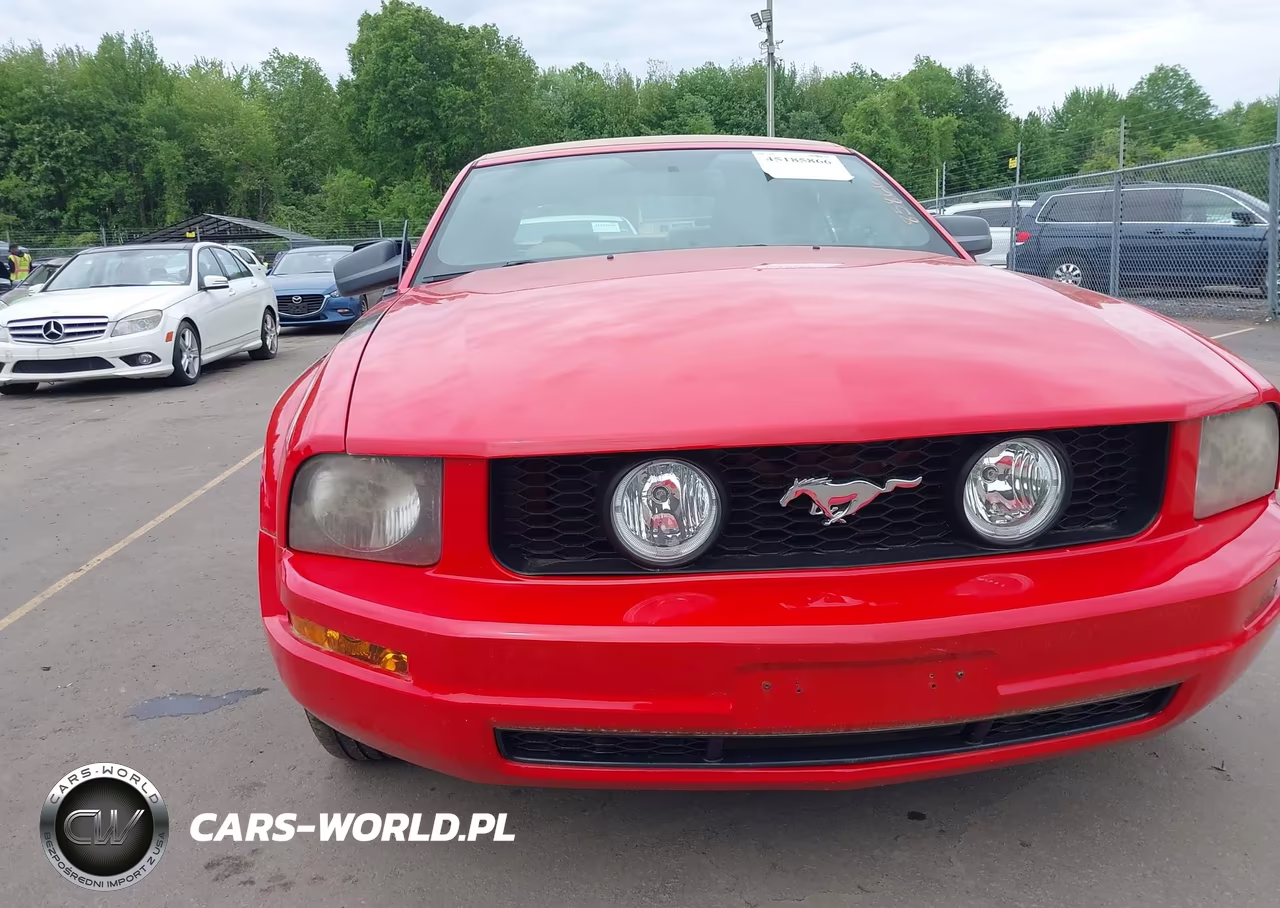 2006 Ford Mustang V6 VIN:1ZVFT84N365242022 - 6