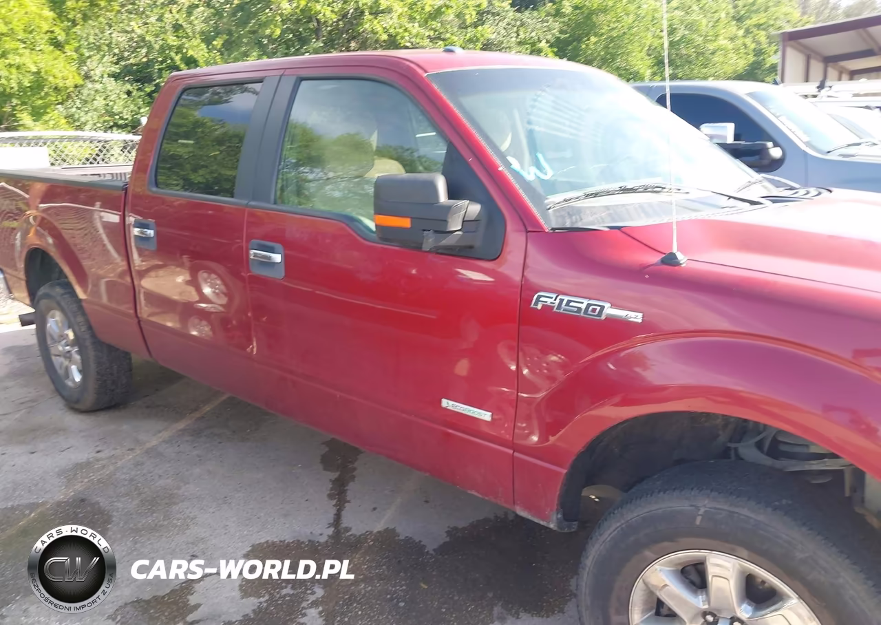 2013 Ford F-150 Xlt VIN:1FTFW1ETXDKF09699 - 13