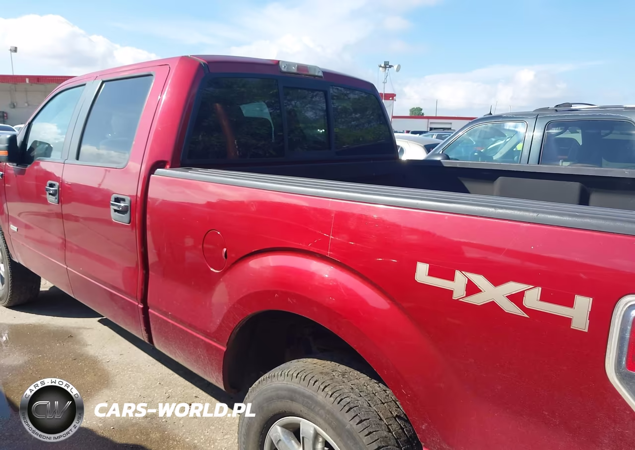 2013 Ford F-150 Xlt VIN:1FTFW1ETXDKF09699 - 14