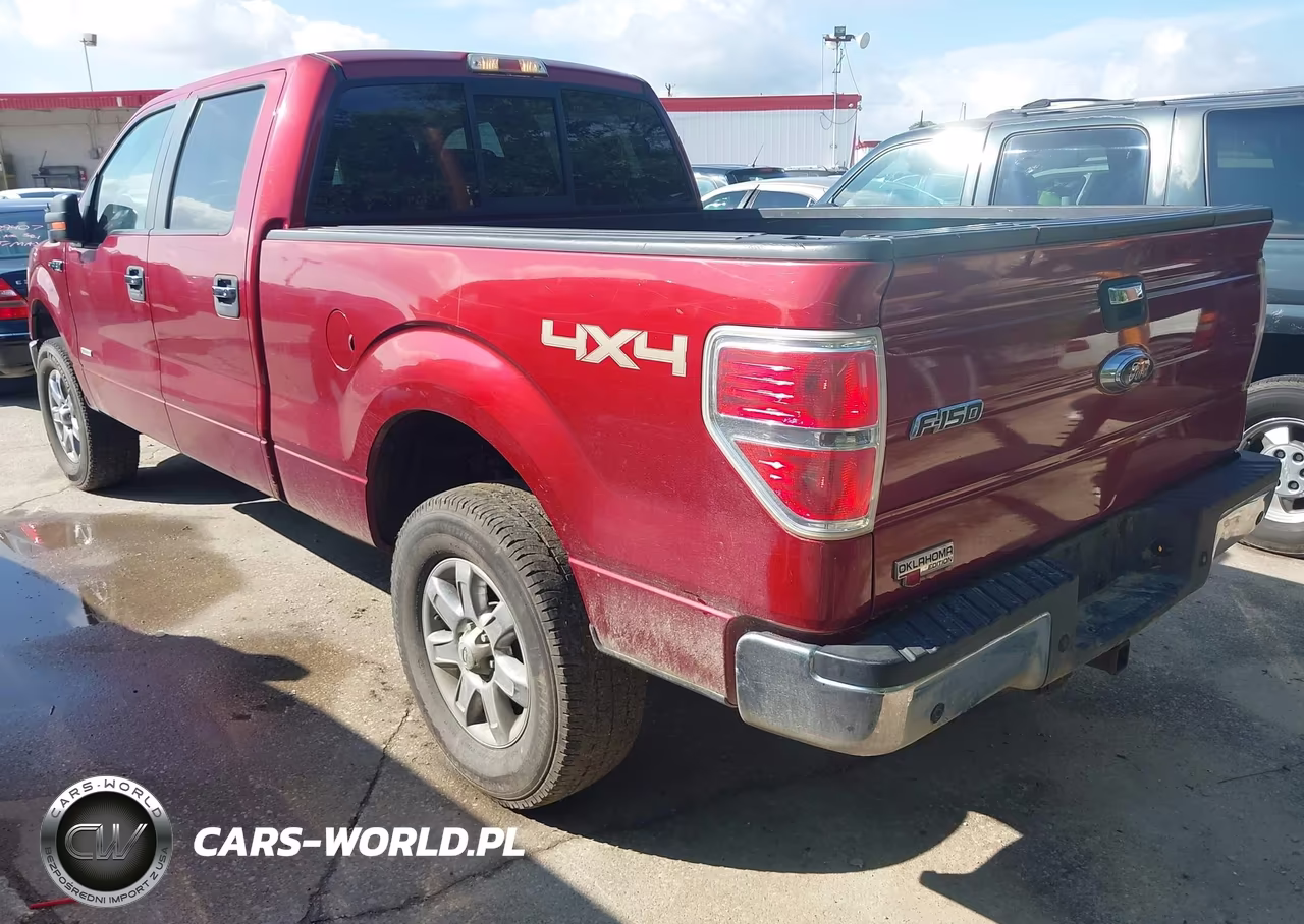 2013 Ford F-150 Xlt VIN:1FTFW1ETXDKF09699 - 3