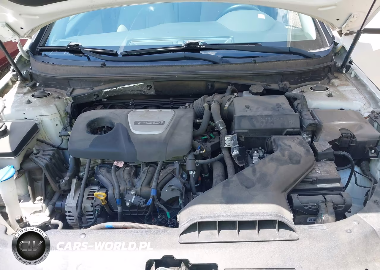 2019 Hyundai Sonata Eco VIN:5NPE24AA6KH774144 - 10
