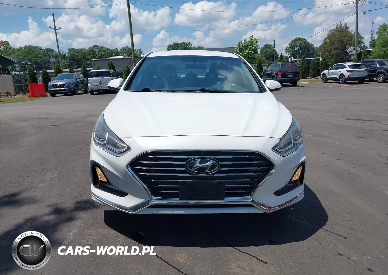 2019 Hyundai Sonata Eco VIN:5NPE24AA6KH774144 - 14