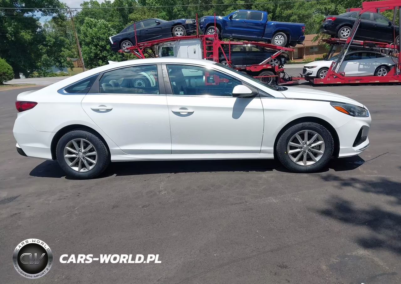 2019 Hyundai Sonata Eco VIN:5NPE24AA6KH774144 - 15