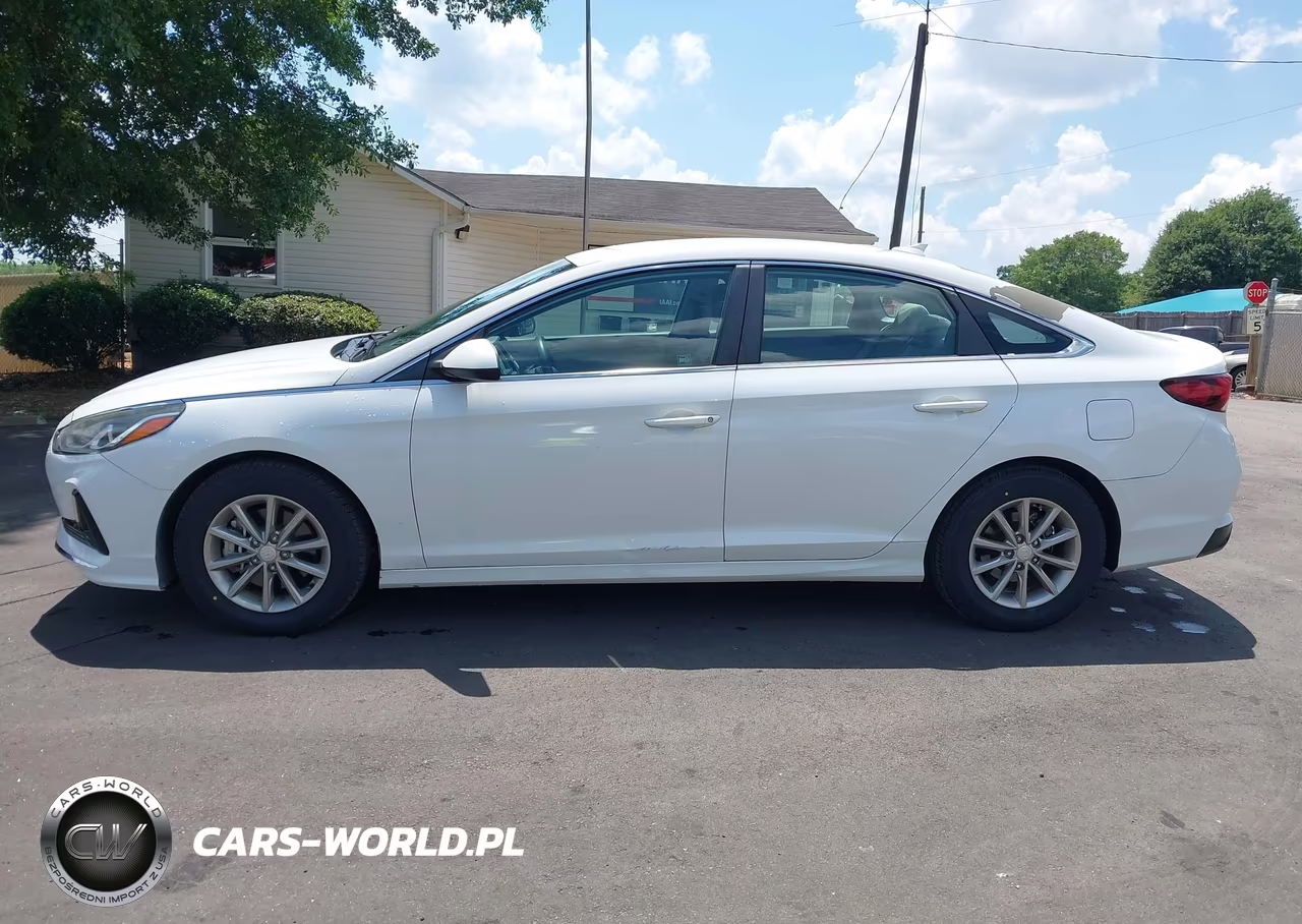2019 Hyundai Sonata Eco VIN:5NPE24AA6KH774144 - 16