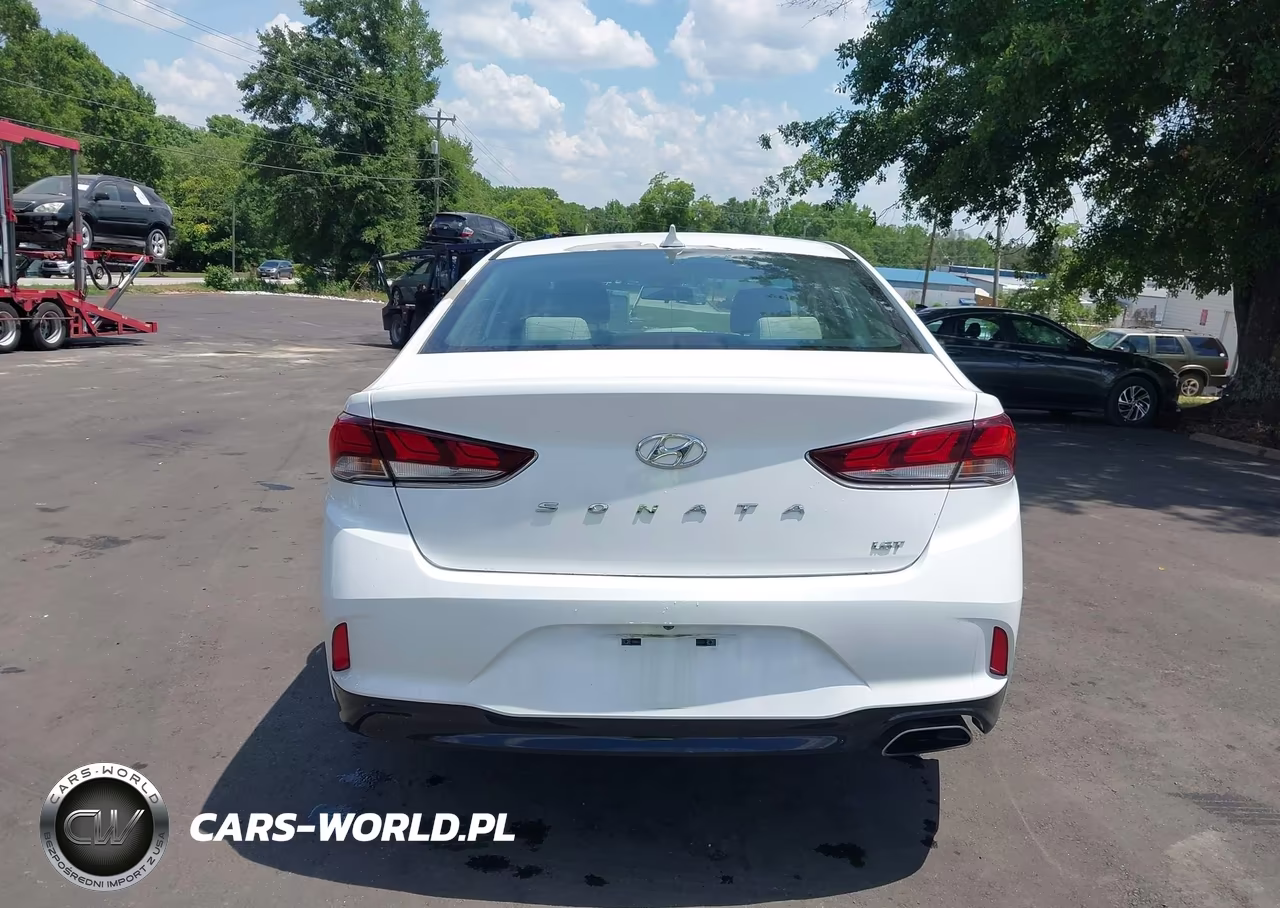 2019 Hyundai Sonata Eco VIN:5NPE24AA6KH774144 - 18