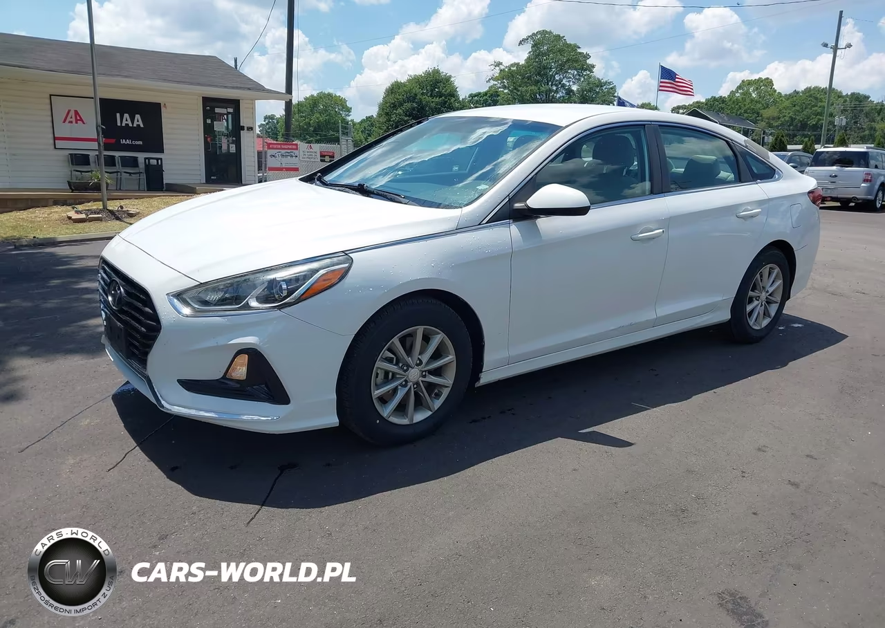 2019 Hyundai Sonata Eco VIN:5NPE24AA6KH774144 - 2